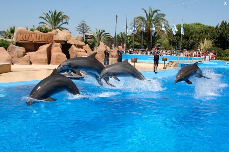 Шоу для для всей семьи в одном из крупнейших в Европе аквапарке – дельфинарии Marineland от туроператора LuxTour