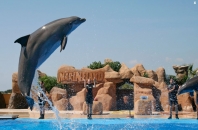 The Aquapark Marineland