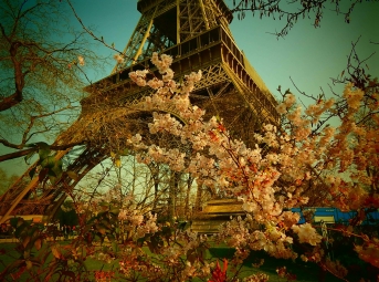 A trip to Paris